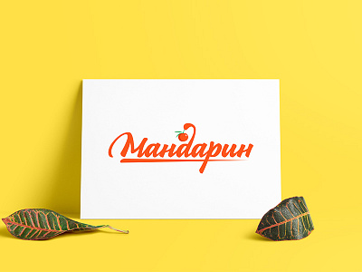 Mandarin logo brand design icon illustration logo logotype mandarin shop vector