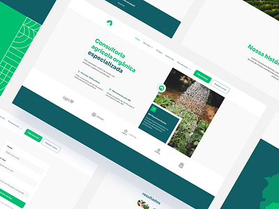 Agro Website UX/UI - Diniz Consultoria Agrícola