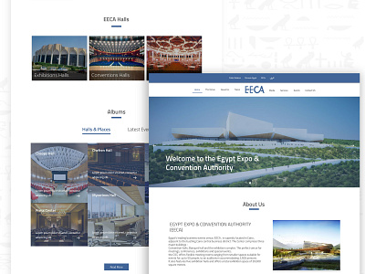 EECA Rebranding blue blue and white design gallery re brand re design uidesign ux ux ui ux design website