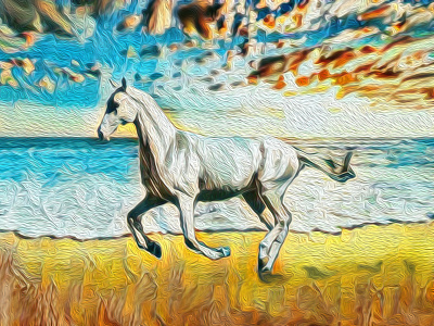 A Lady's Horse art design illustration