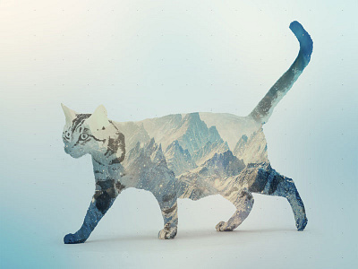 Mountain cat cat dubble exposure mountain