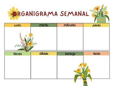 Organigrama Semanal