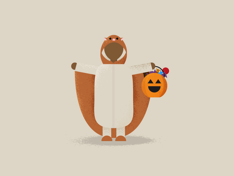 Flying Squirrel Costume jack-o-lantern flat design trick or treat texture illustration texture flat illustration flat illustration costume halloween flying squirrel squirrel