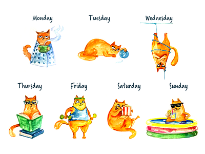 7 cats a week art cat character design drawing funny graphic design hand drawn illustration watercolour