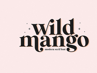 Wild Mango Font | Modern Serif Font branding design font font duo illustration logo sans serif script sefif ui