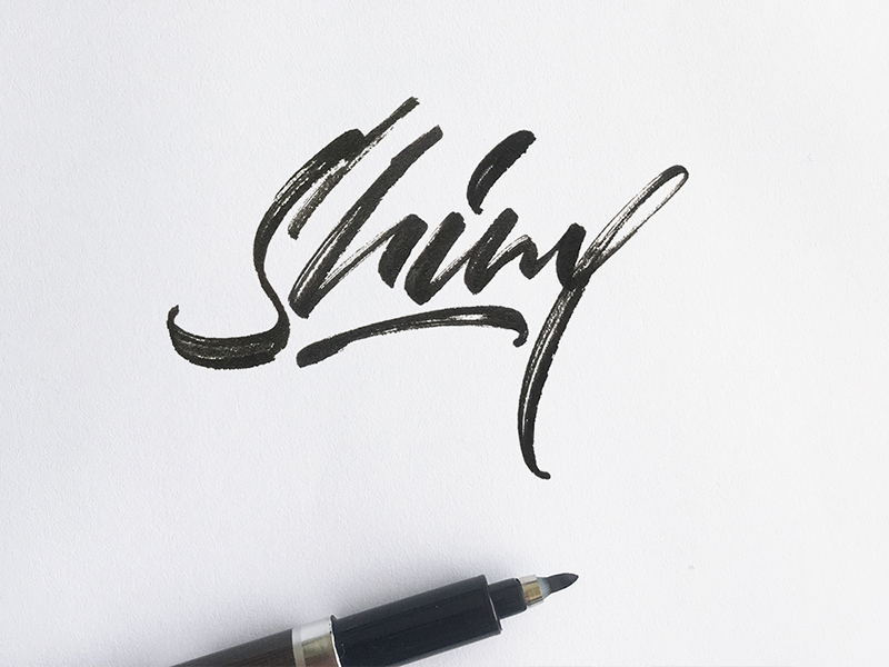 Shiny by Andrii on Dribbble