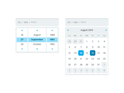 Calendar ~ Barrel vs Selector calendar concept date gui ui