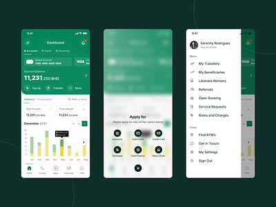 Finance App - Interface Design