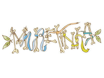 Muretinha cirobicudo illustrations lettering muretinha