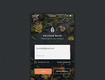Autumn Inspiration Login app ui autumn branding login form web design