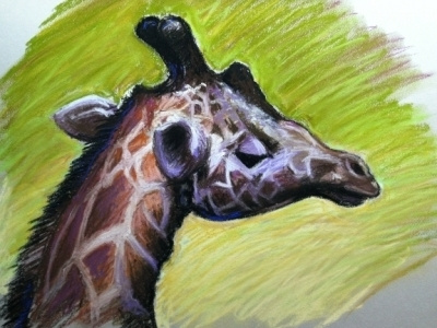 Giraffe Illustration african animals animal drawing giraffe pastel