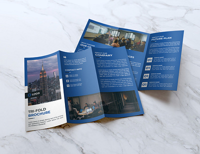 Business Tri fold Brochure Design graphic