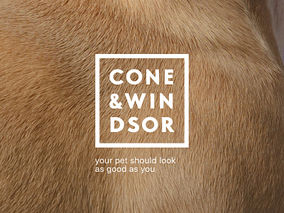 Cone & Windsor accessories accessories for pets dogs love pet pet fashion pets pets branding pets clothes pets logo want to be like you