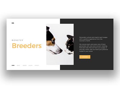 Monster Breeders uidesign uxdesign web webdesign