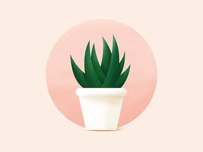 Flower pot minimal illustration