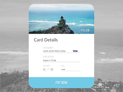 Poler Stuff Card Checkout card details check out daily ui dailyui day 002 day002 design pay now poler poler stuff ui ux