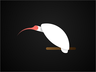 Crested ibis