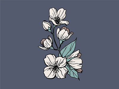 Jasmine bloom botanic branch design flore flower foliage herb illustration jasmin line petal plant stem tattoo