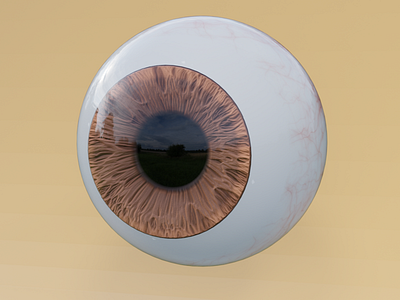 Eyeball tool//Blender 3d 3d model