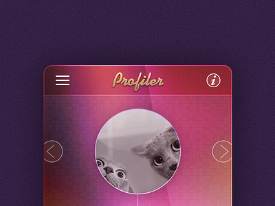 Profiler Card flat pattern skeuomorphism texture ui user interface ux widget