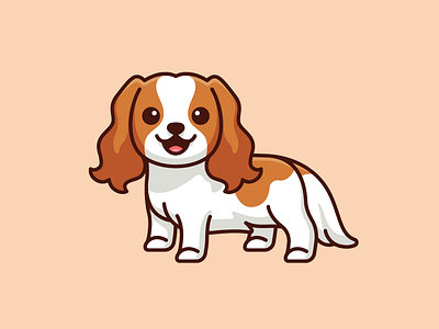 Cavalier King Charles Spaniel