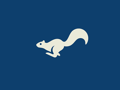 Squirrel Run designs, themes, templates and downloadable graphic elements  on Dribbble