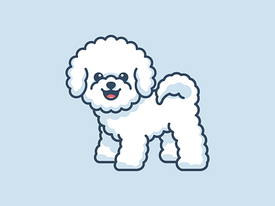 Bichon Frise