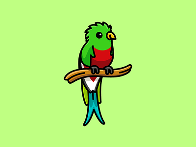 Quetzal adorable lovely beauty beautiful bright vibrant cartoon comic character mascot child children color colorful cute fun funny forest highland green red guatemala mexico happy smile illustrative illustration nature rainbow quetzal bird sticker design stunning feather tree tropic wildlife jungle
