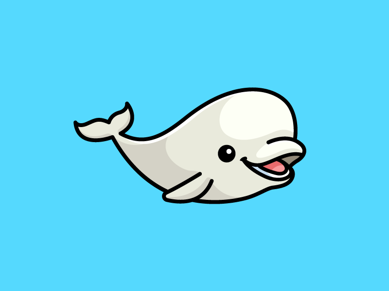 cute beluga whale