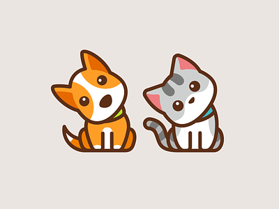 Confused Dog & Cat