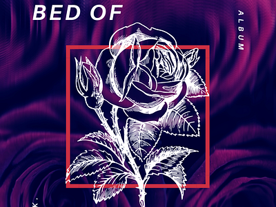 Bed of Roses - O.K. Album Cover branding design graphic design typography vector