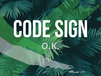 Code Sign - O.K. Album Cover design graphic design typography