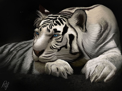 White tiger white
