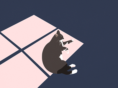 Solkatt cat digital illustration illustration ipad pro procreate