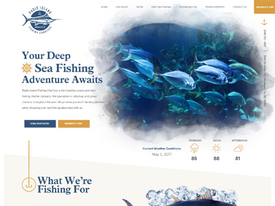 Deep Sea Fishing designs, themes, templates and downloadable