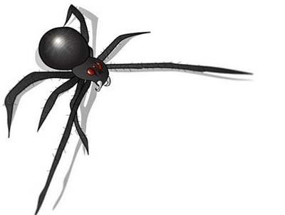 spyder vector bug graphic design illustration insect spider vector