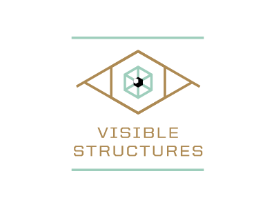 Visible Structures angular brand eye linework logo