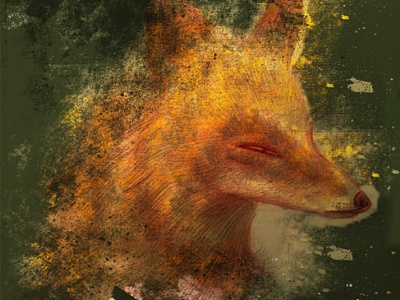 Pensive Fox Seeks Answers fox