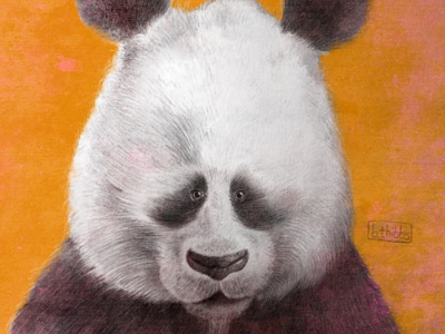 Epiphany of the Panda panda