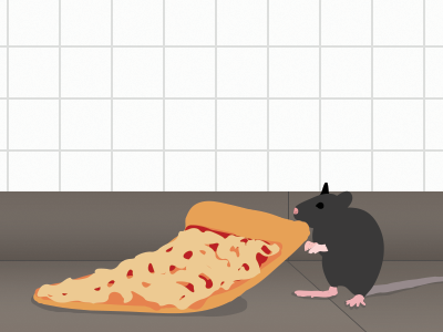 Pizza Rat mta nyc pizza rat subway
