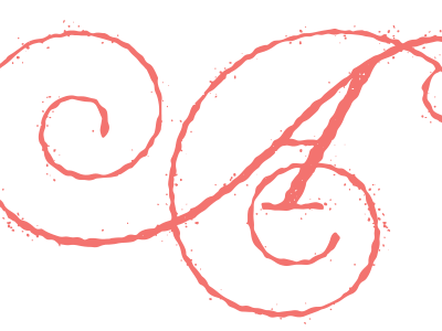 Almondine Logo illustration logo typography