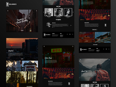 Dolanndes Web UI Design