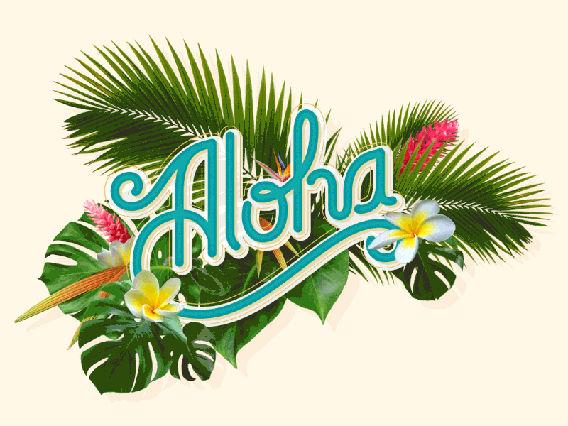 Aloha after effects aloha motion graphics type typography