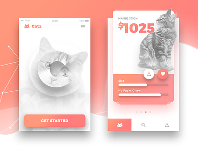 Cats App animal animals brand branding cat cats gradient mobile responsive ui ux