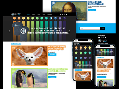 Caught in the Web Website animals blue branding design desktop graphic design icon logo mobile ui ui design vector web website
