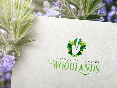 Friends of Llanbedr Woodlands Concept brand brandidentity branding brandlogo businesslogo charity customlogo environmental logo logodesign