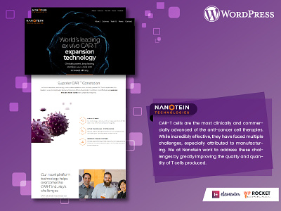 Nanotein Website | WordPress Website Design psd to wordpress webdesign wordpress website wordpress