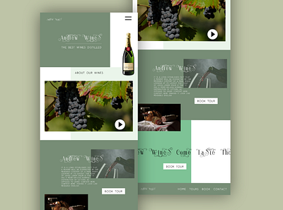 Andrews Wine - WordPress Theme design graphic design ui ux uxui design web design wordpress theme