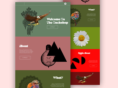 Illustrated Website Concept design graphic design illustration ui ux uxui design web design