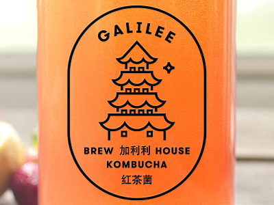 Galilee Kombucha bottle branding kombucha label logo